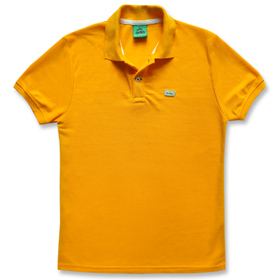 Brilliant Yellow